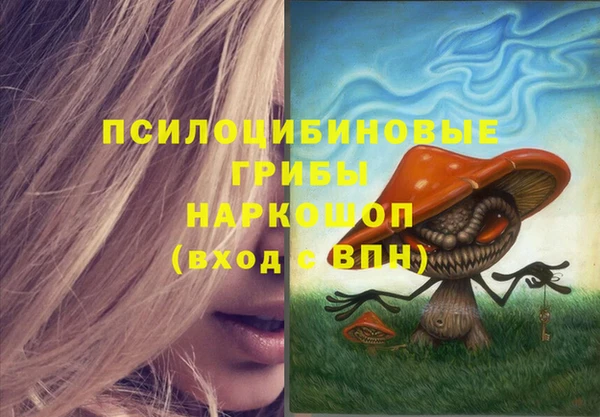 молекула духа Алексеевка