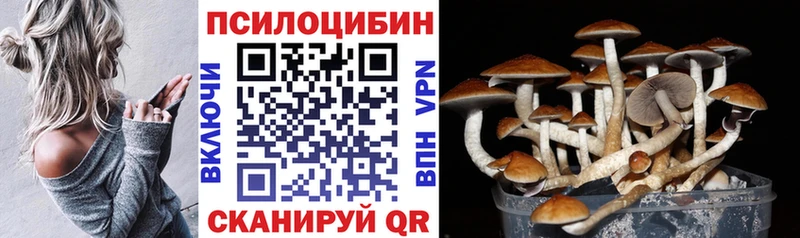Галлюциногенные грибы Cubensis  Тюмень 